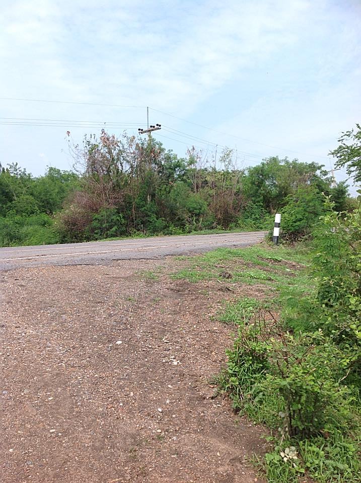 ที่ดิน การเกษตร ลพบุรี 59 ไร่