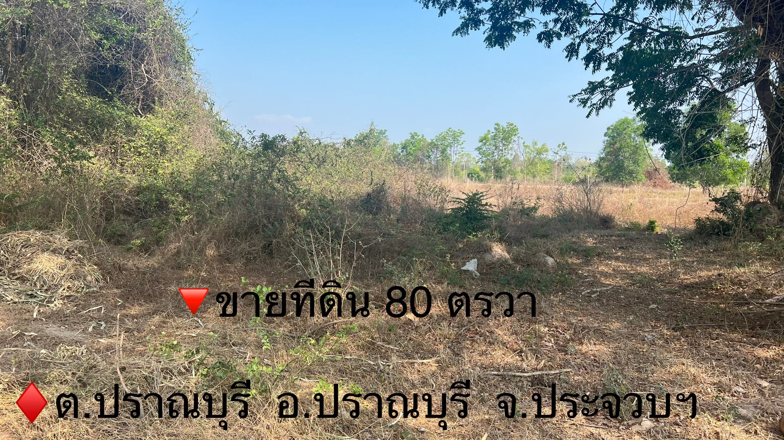 ขายที่ดินเปล่า 80 ตรว.  ปราณบุรี ประจวบคีรีขันธ์ 