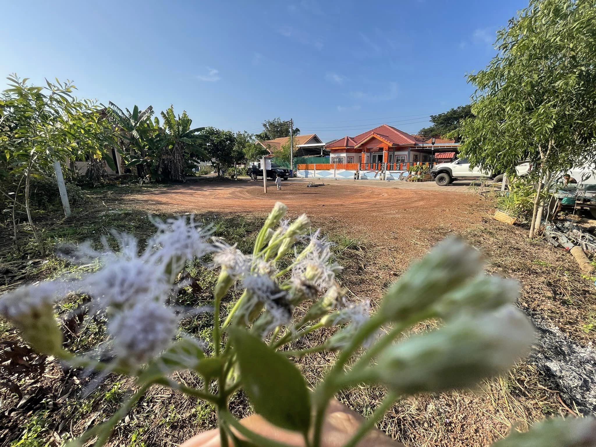 ขายที่ดิน อุดรธานี 85 ตรว