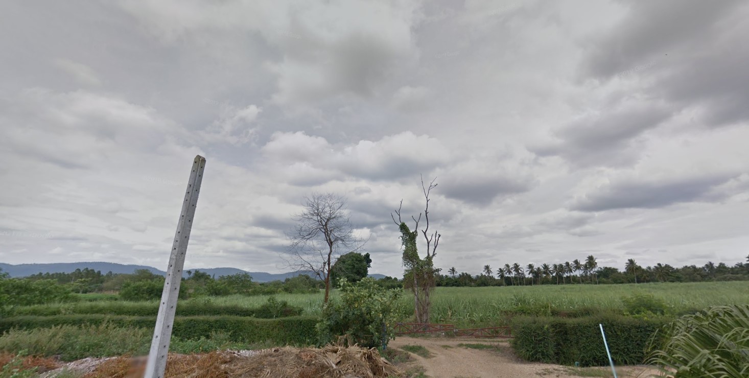 ที่ดินเปล่า ปากช่อง 110-0-49
