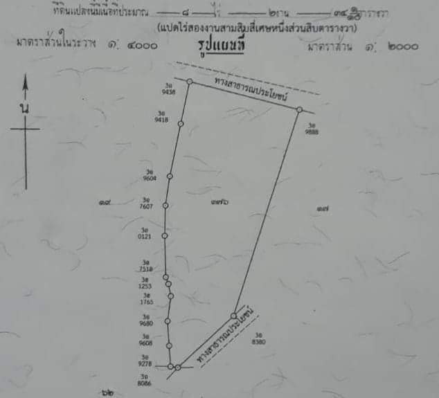 ขายที่ดิน บ้านหนองคู ต.ป่าสังข์ อ.จตุรพักตรพิมาน จ.ร้อยเอ็ด   8-2-34.1 ไร่