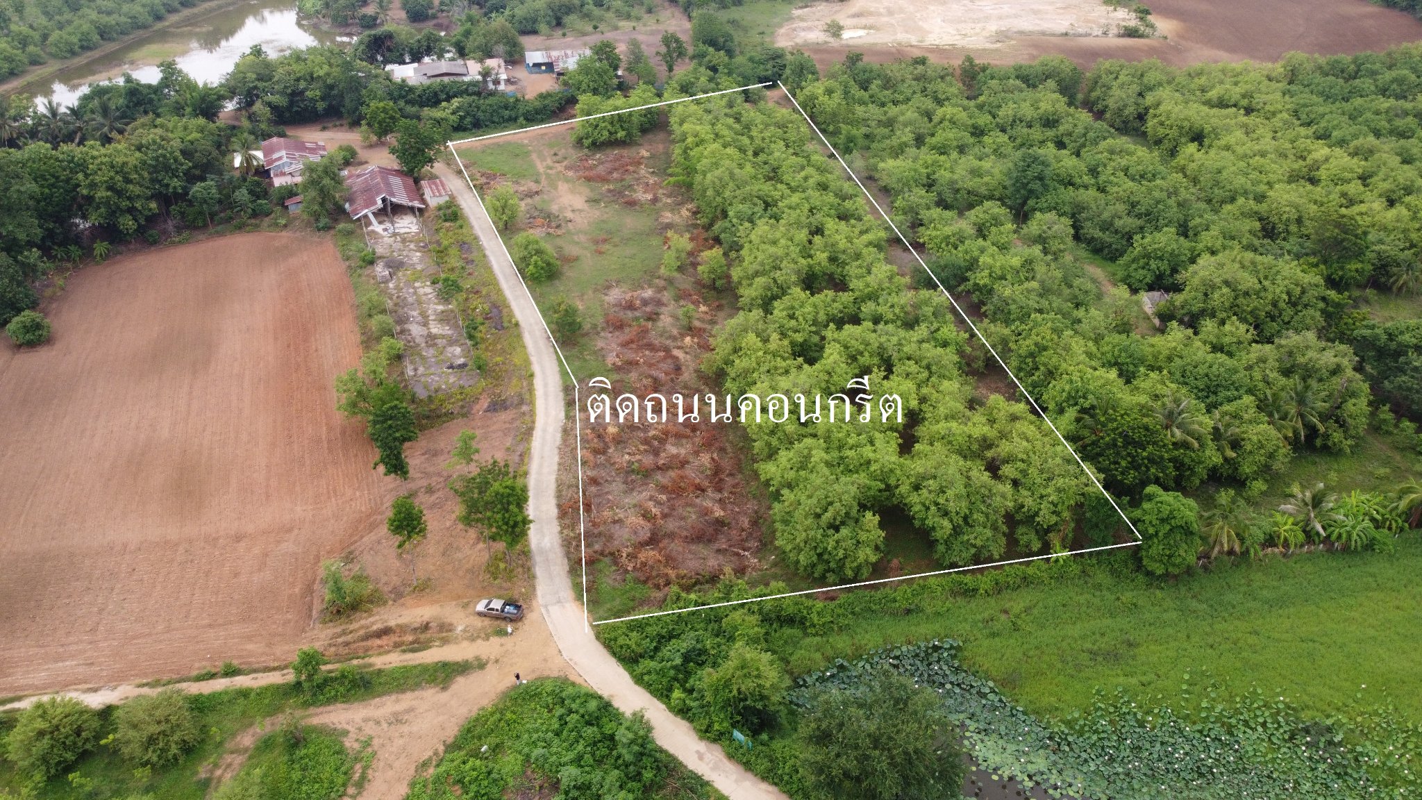 ที่ดินเปล่า เมืองเพชรบูรณ์ 7-0-58 ไร่