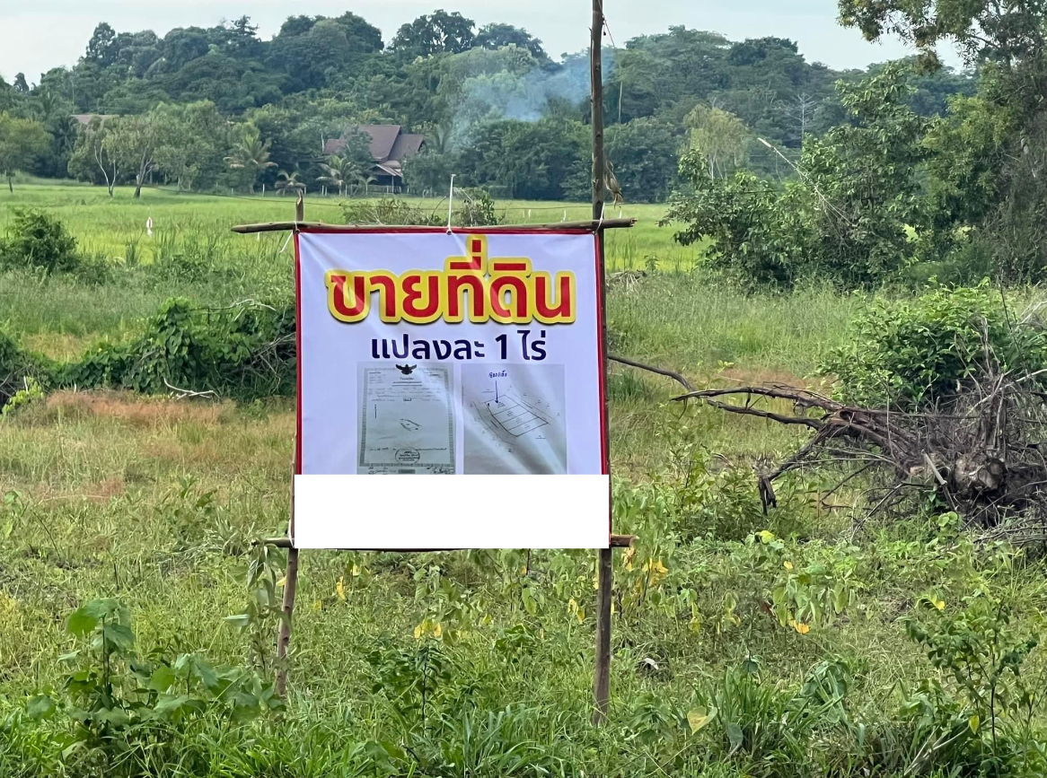 ขายที่ดินกาฬสินธุ์ อำเภอยางตลาด ที่ดินติดถนน ด้านหลังติดคลองชลประทาน