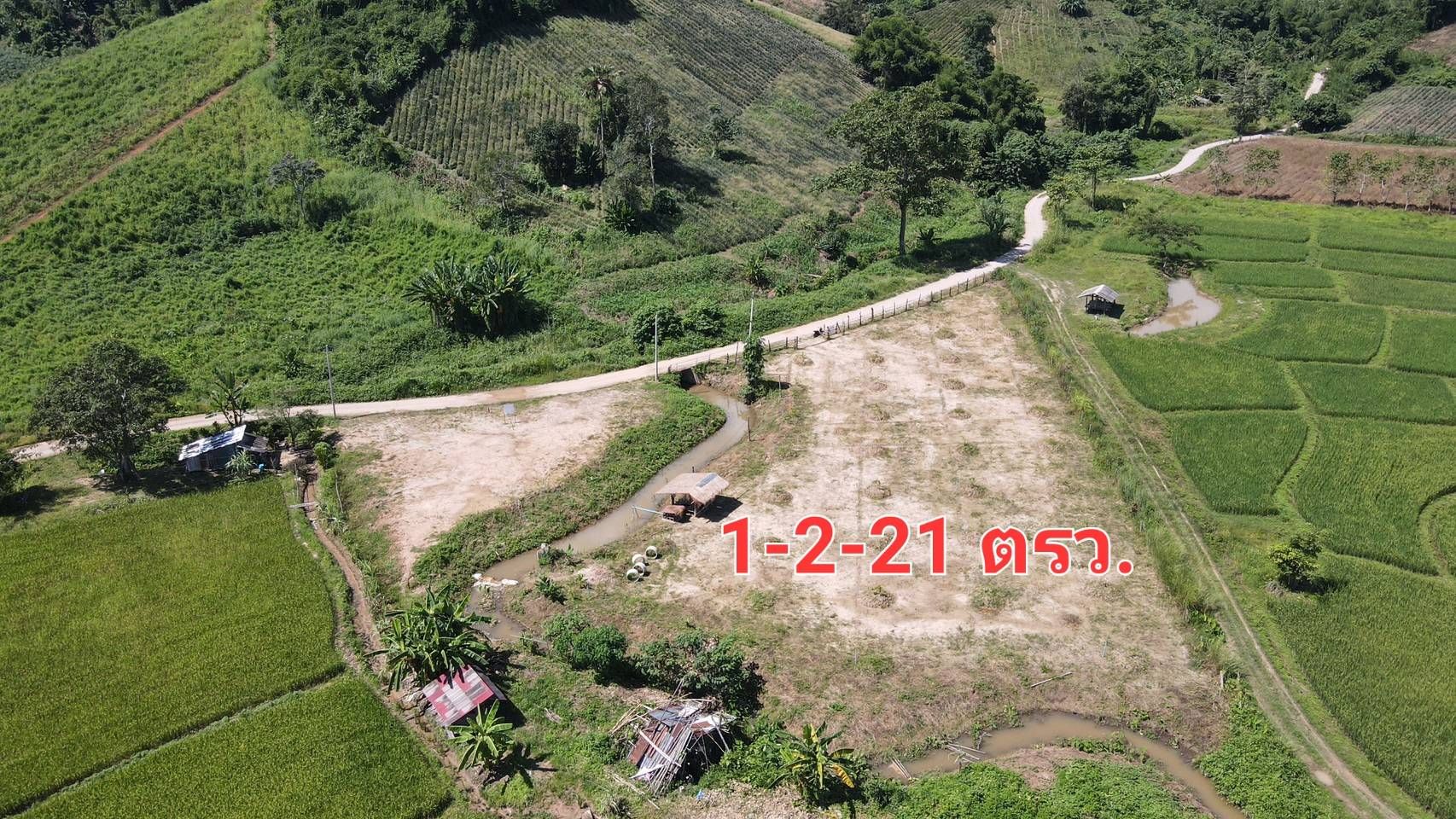ขายที่ดินเชียงราย ที่ดินสวนทุเรียน ดอยฮาง ติดถนนสาธารณะ เมืองเชียงราย 1-2-21