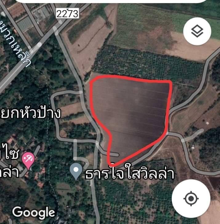 ขายที่ดินติดมวกเหล็ก นครราชสีมา 41-3-41 ไร่