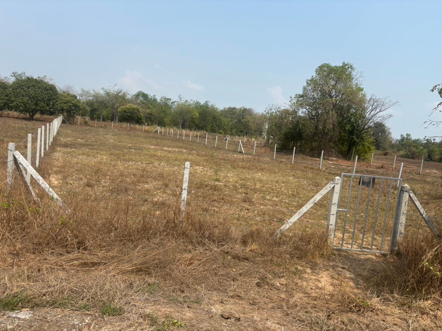 ขายที่ดินต. หนองสาหร่าย  อำเภอดอนเจดีย์ สุพรรณบุรี ที่ดินเปล่า ล้อมรั้วเรียบร้อย