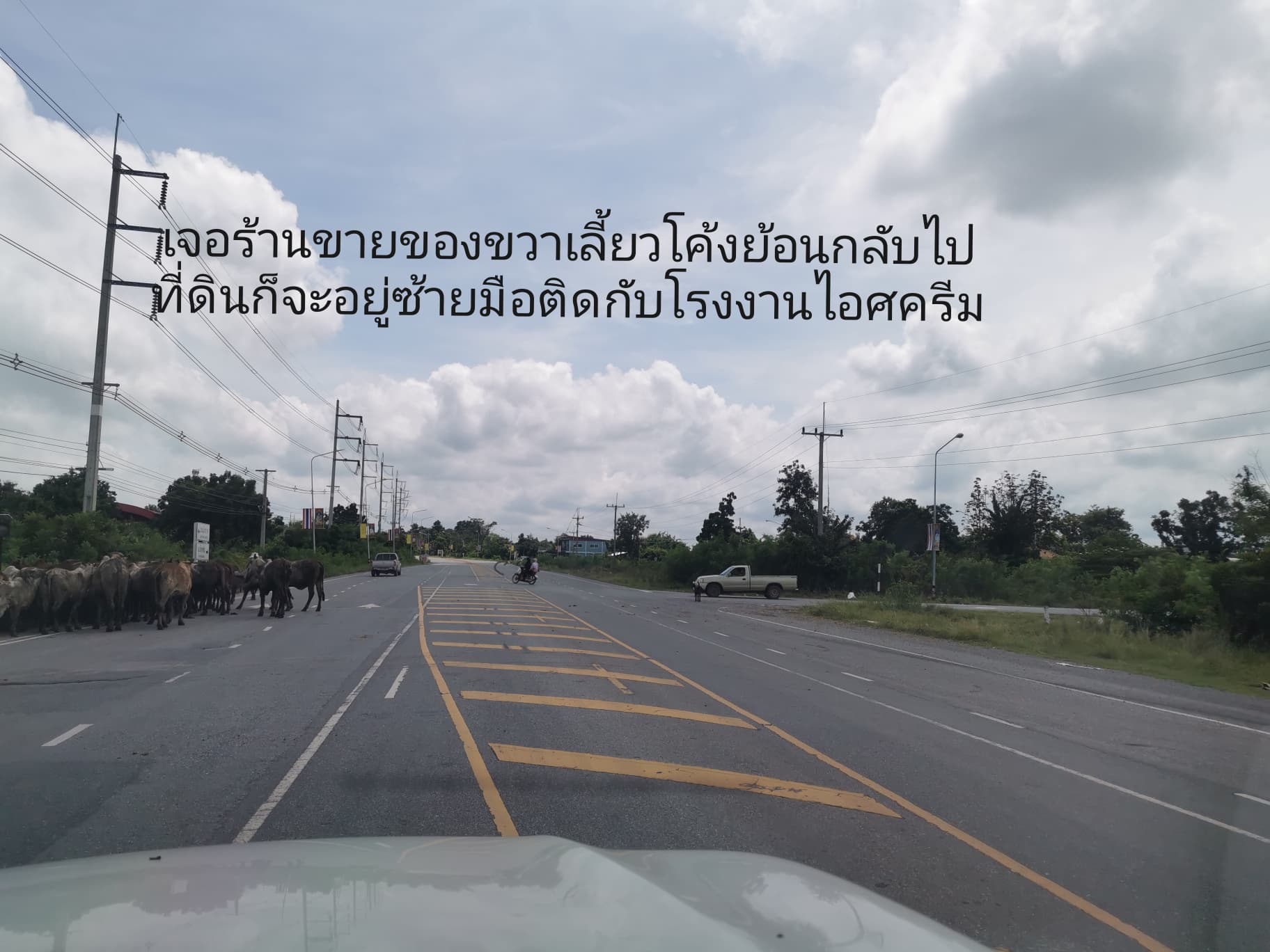 ที่ดินเปล่าโฉนดสวย นครราชสีมา
