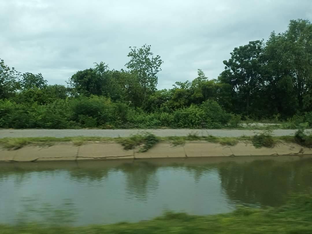 ขายที่ดินที่นา อู่ทอง สุพรรณบุรี 8-3-1.6