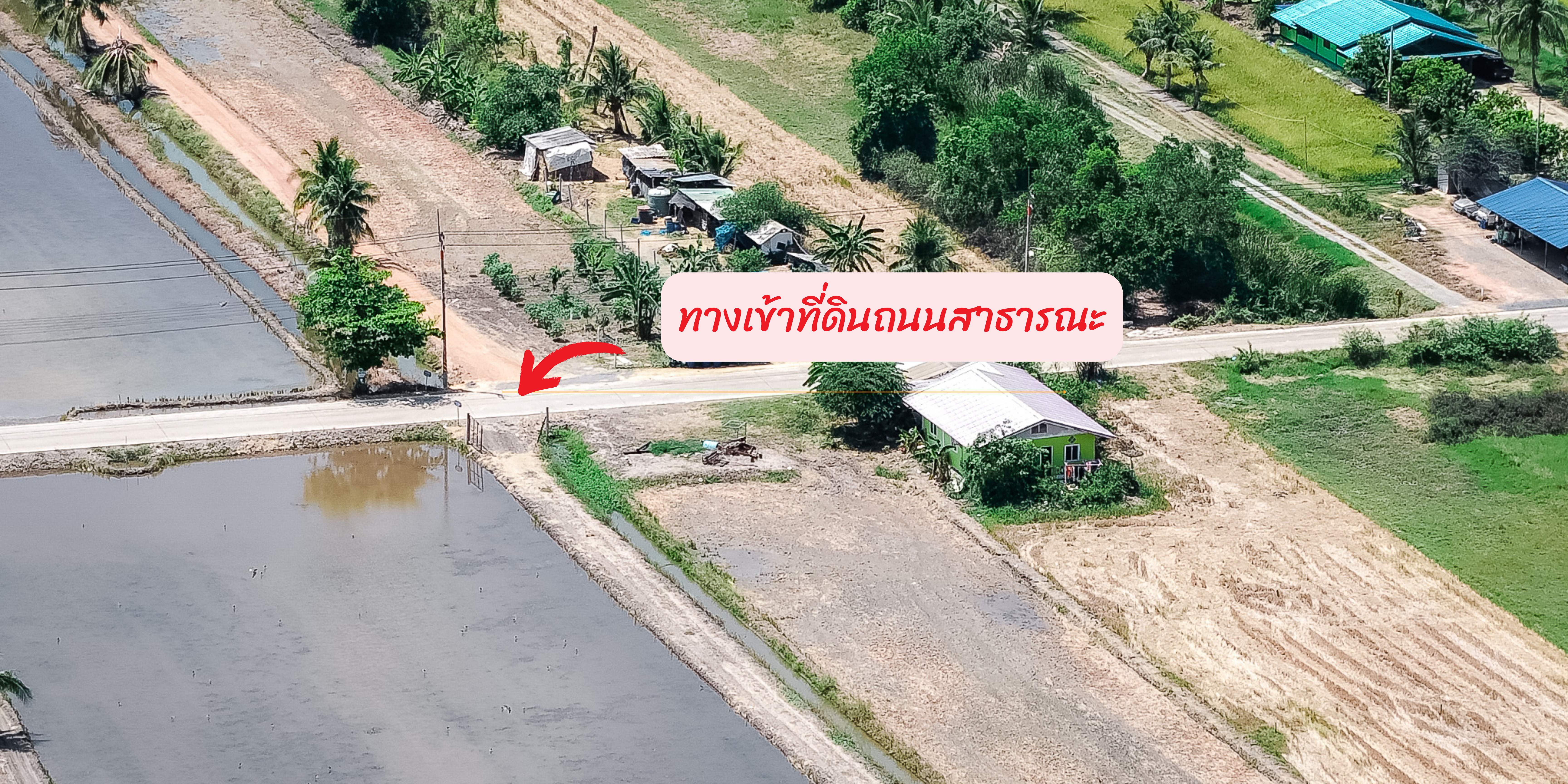 แปลงสวยเข้าซอยเพียง 200 เมตร แปลงใหญ่ 5ไร่ ฉะเชิงเทรา
