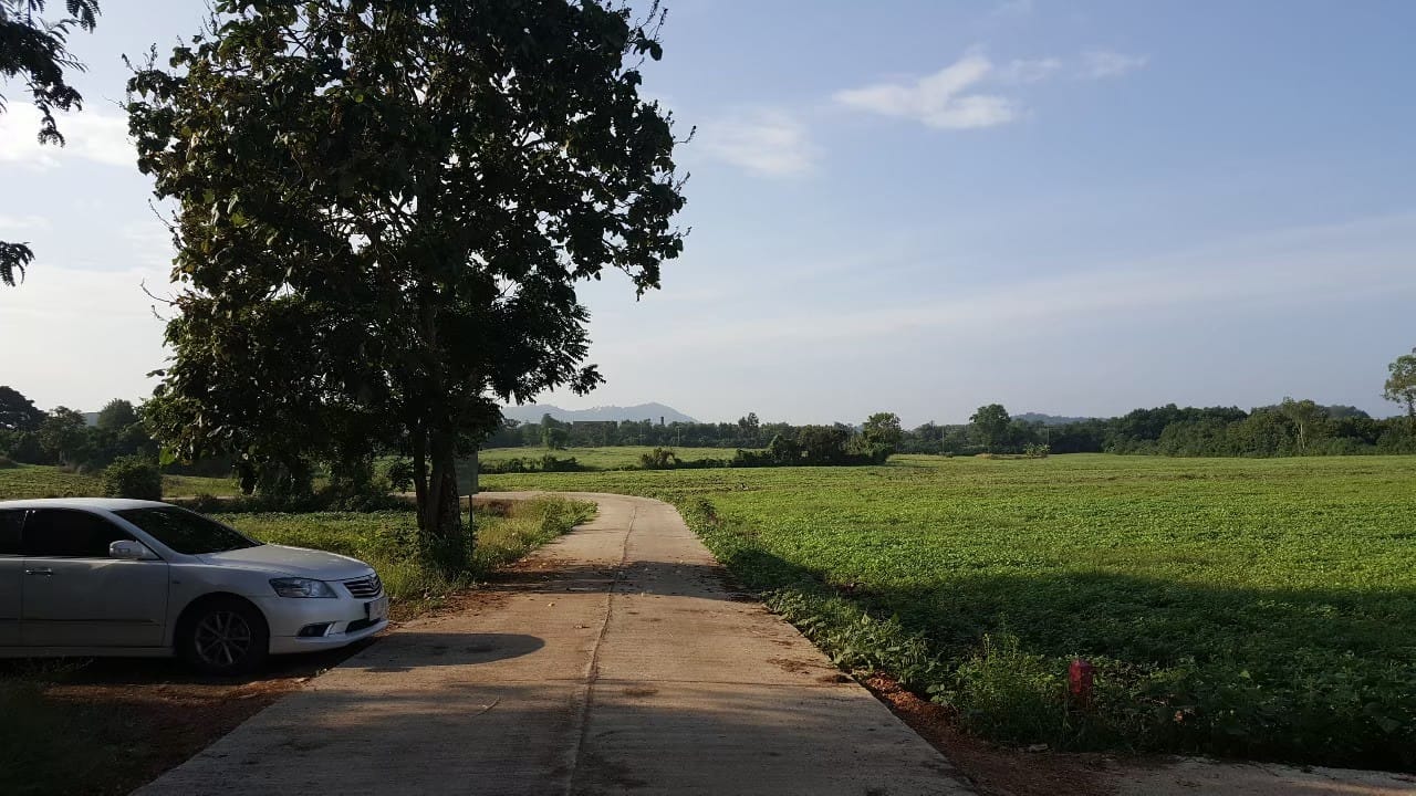 ขายที่ดินบรรยากาศดี