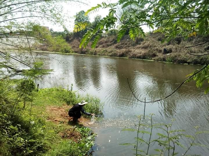 ขายบ้านสวนป่าติดน้ำเลย(เจ้าของขายเอง)
