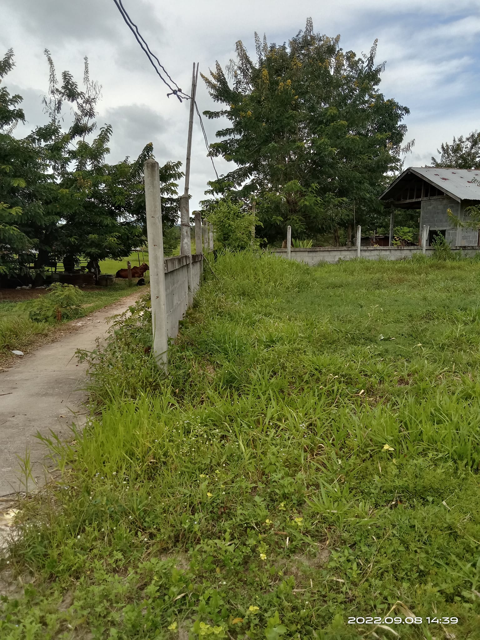 ขายที่ดินกาฬสินธุ์ กุฉินารายณ์ 0-1-89.1