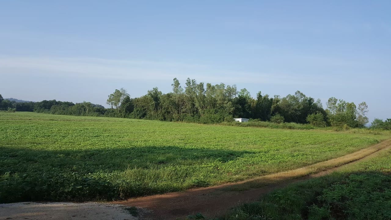 ขายที่ดินบรรยากาศดี
