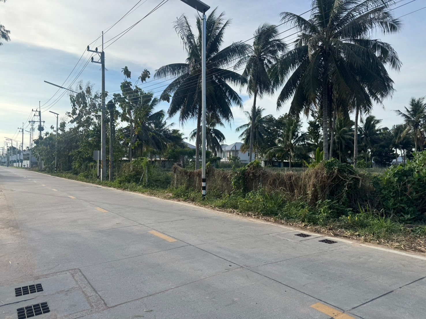 ขายที่ดิน 8-1-93.3 ไร่ พันเสด็จนอก เขาคันทรง-ศรีราชา ติดหมู่บ้านจัดสรร ใกล้ถ.331 และใกล้นิคมอุตสาหกรรม