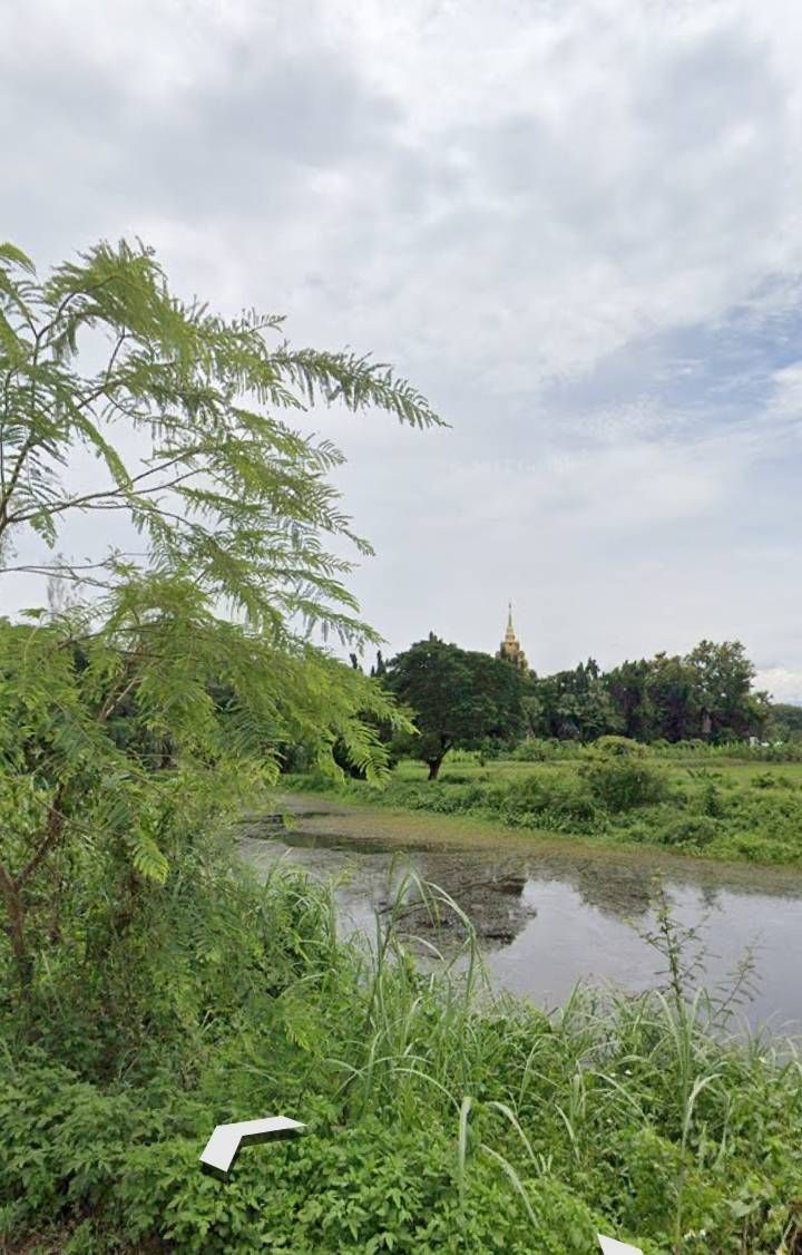 ขายที่ดินติดลำธาร อ.แม่แตง 21-1-15 ไร่