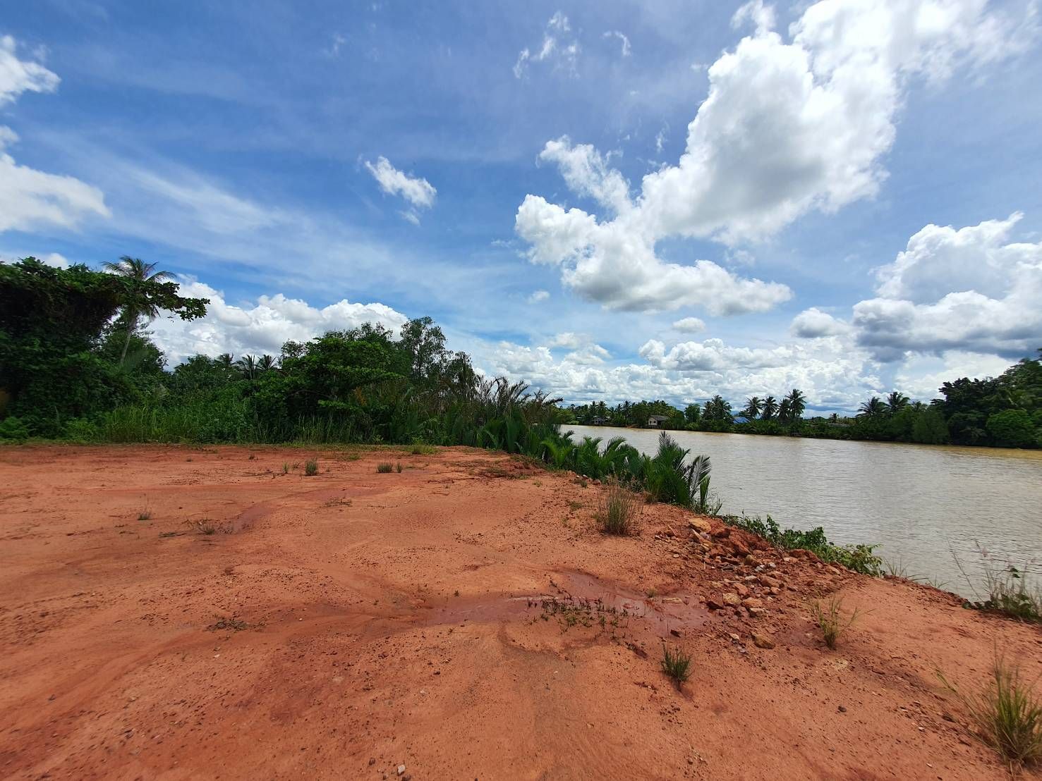 ที่ดินริมน้ำแปลงสวย บางไทร อำเภอเมือง สุราษฎร์ธานี 127.1 ตร.ว