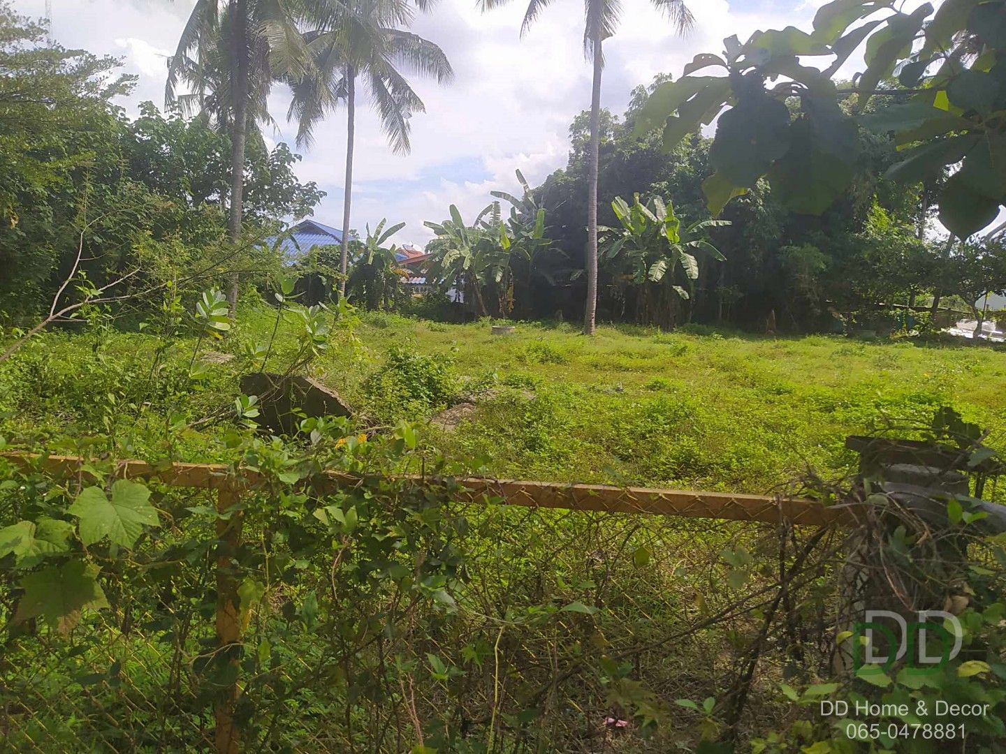 DD-0145 ขายที่ดิน 1-1-55 ไร่ หลังร้านอาหารรติชา บ้านร้องอ้อ ต.สันผีเสื้อ อ.เมือง เชียงใหม่