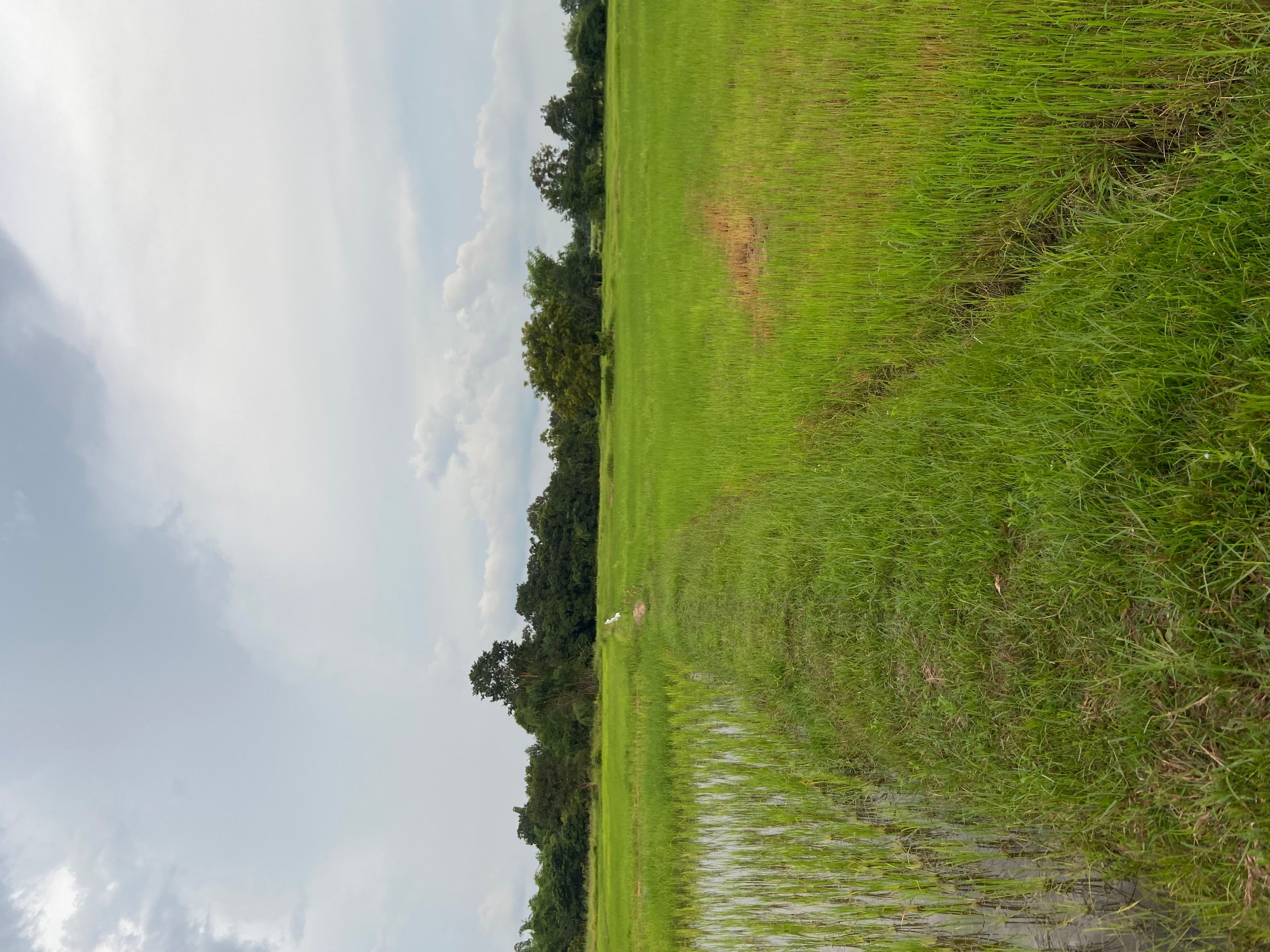 ขายที่ดินอุดรธานี กุดจับ ขายด่วน!