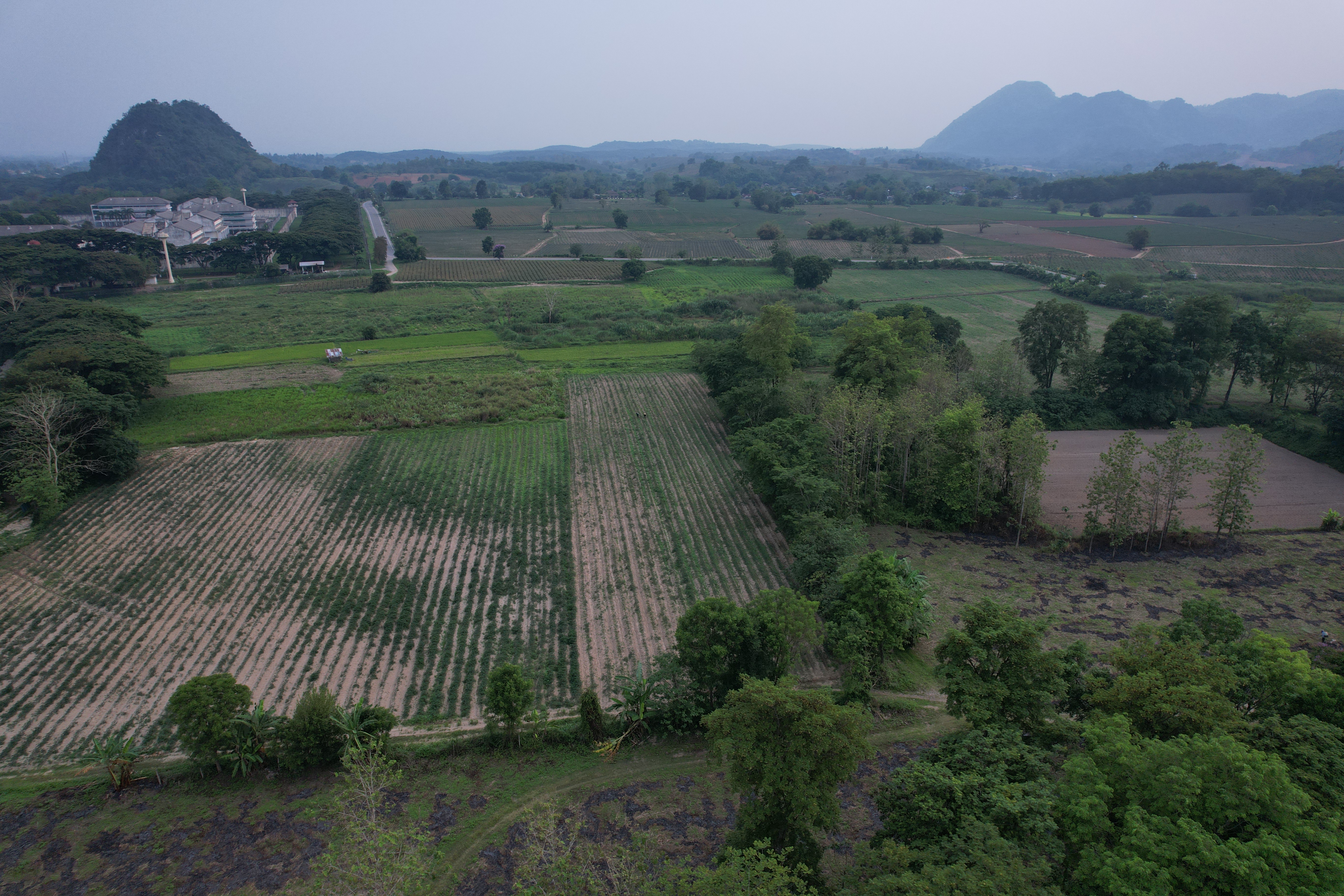ที่ดินทำเลสวย ติดน้ำกก อ.เมืองเชียงราย 149-1-19.5 ไร่