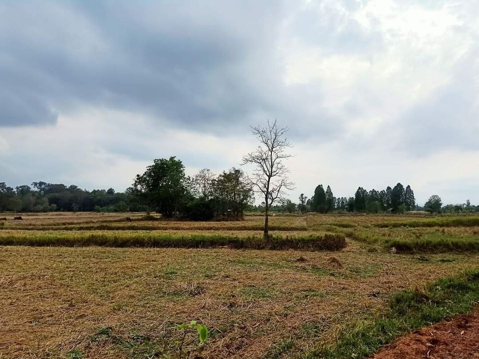 ที่ดิน ตำบลโนนสูง อำเภอเมือง จังหวัดอุดรธานี  18 ไร่