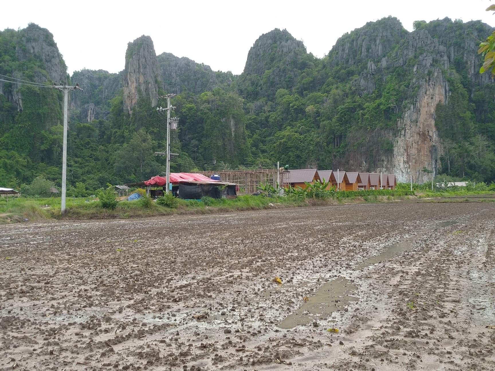 ขายที่ดินเปล่า เนินมะปราง พิษณุโลก 6-0-81