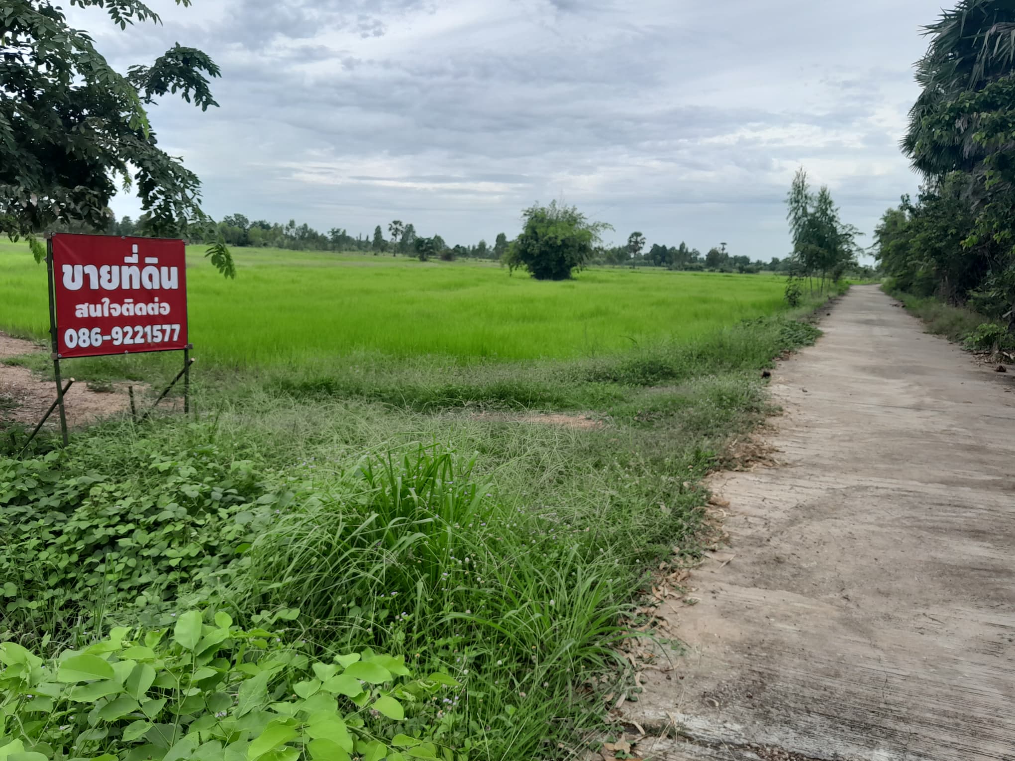 ขายที่ดินพิจิตร จ.พิจิตร อ.ตะพานหิน 28-1-93 ไร่