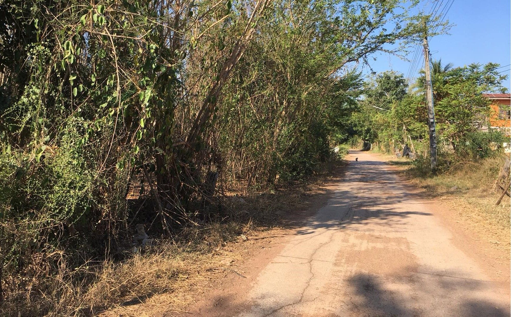 ขายที่ดินขอนแก่น อำเภอชุมแพ