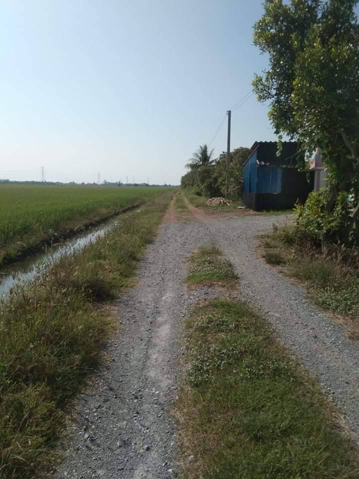 ที่ดินเปล่า อ.ไทรน้อย จ.นนทบุรี 37-0-0