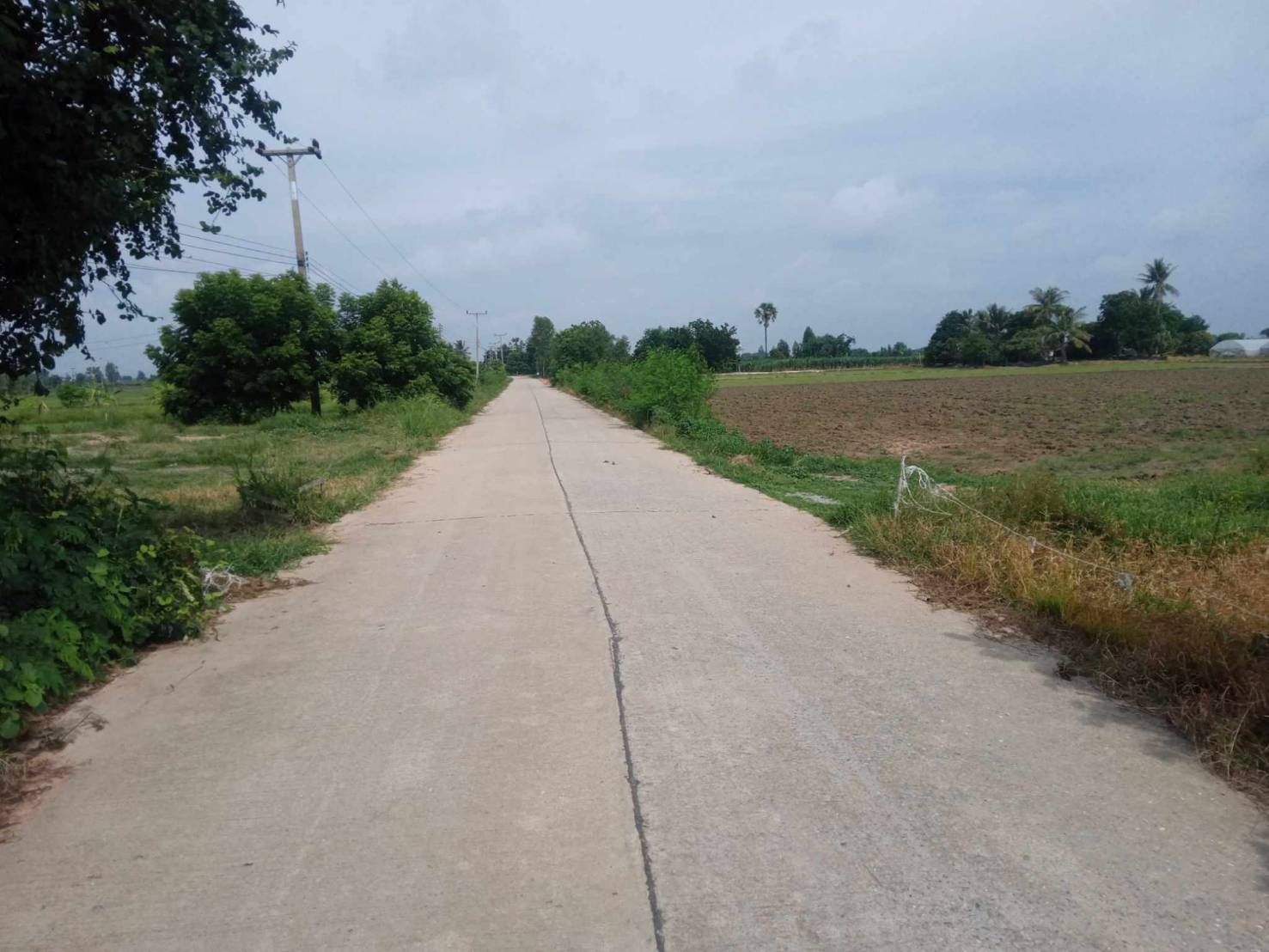 ที่ดินทำเลดี 12 ไร่ อำเภอหนองหญ้าไซ สุพรรณบุรี  เหมาะสำหรับสร้างบ้านสวน/ทำการเกษตร พร้อมอยู่!