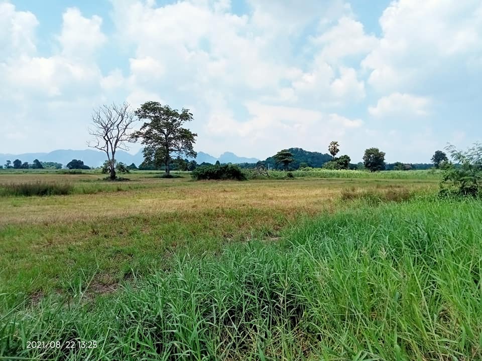 ที่ดินแปลงสวย ลพบุรี 3 ไร่