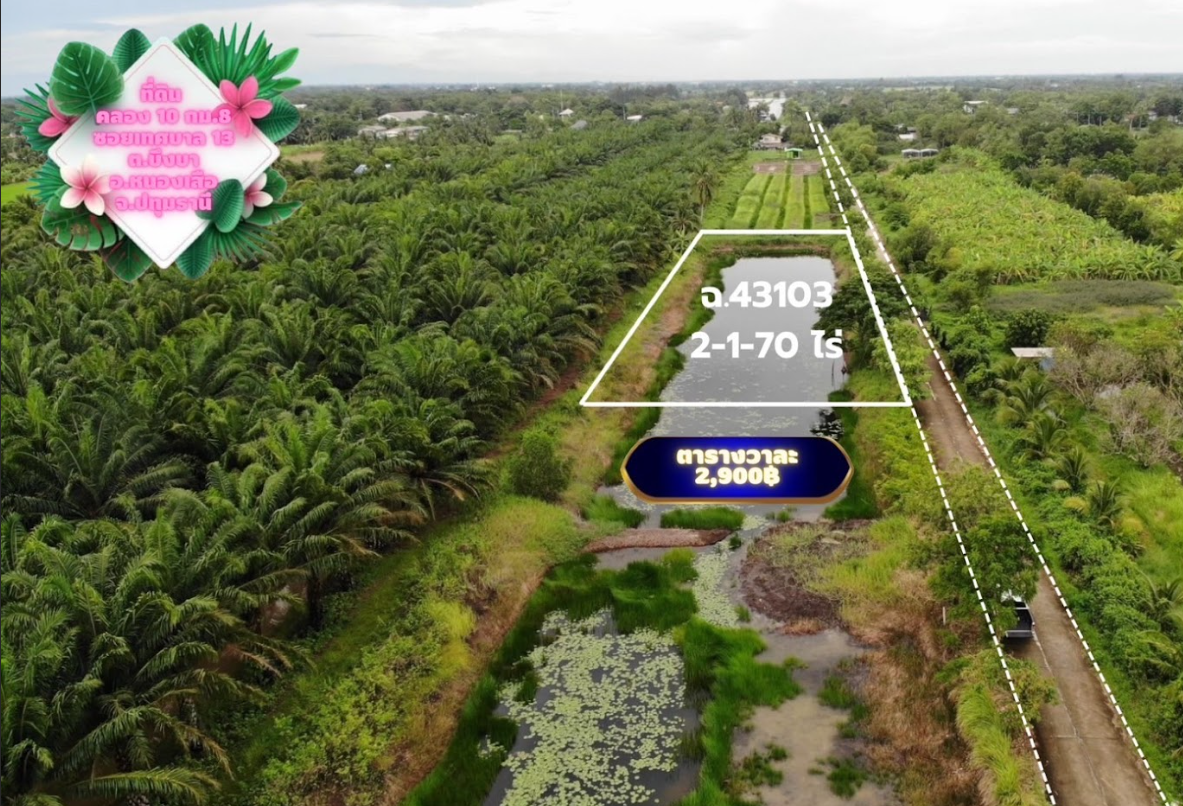 ขายที่ดินปทุมธานี หนองเสือ แปลงสวย ติดทางสาธารณะ คลอง 10 ซอย 13