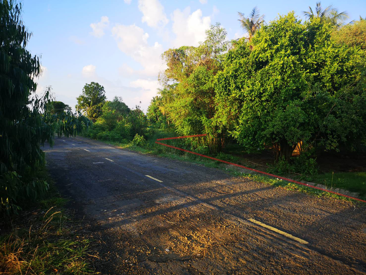 ที่ดินเปล่าแปลงเล็ก เมืองสุรินทร์ 0-1-60