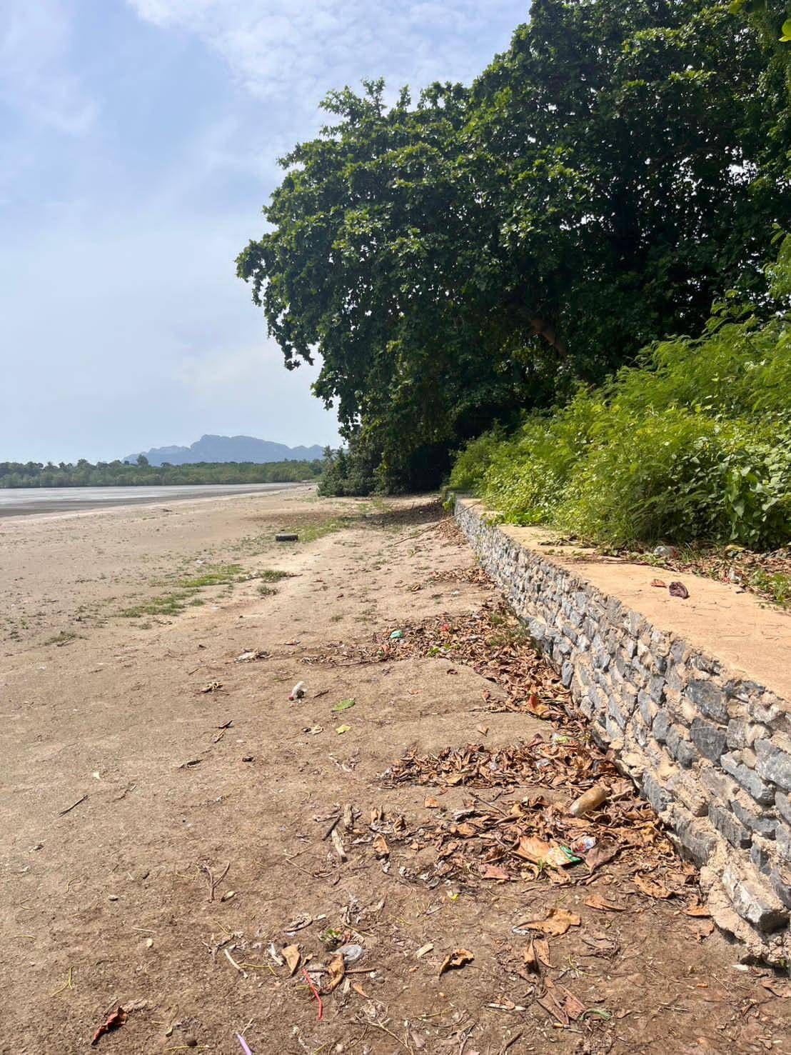 ที่ดินติดทะเล ด้านหลังติดถนนคอนกรีต ทิวทัศน์มองเห็นเกาะแรด
