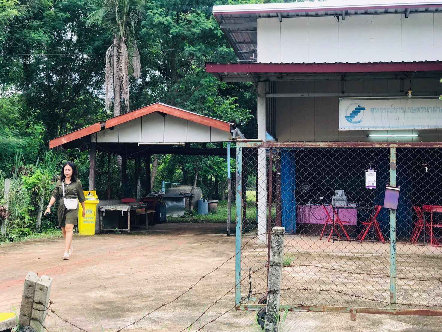 ขายที่ดิน 0-2-71 ตรว. บ้านช่อระกา ต.นาฝาย