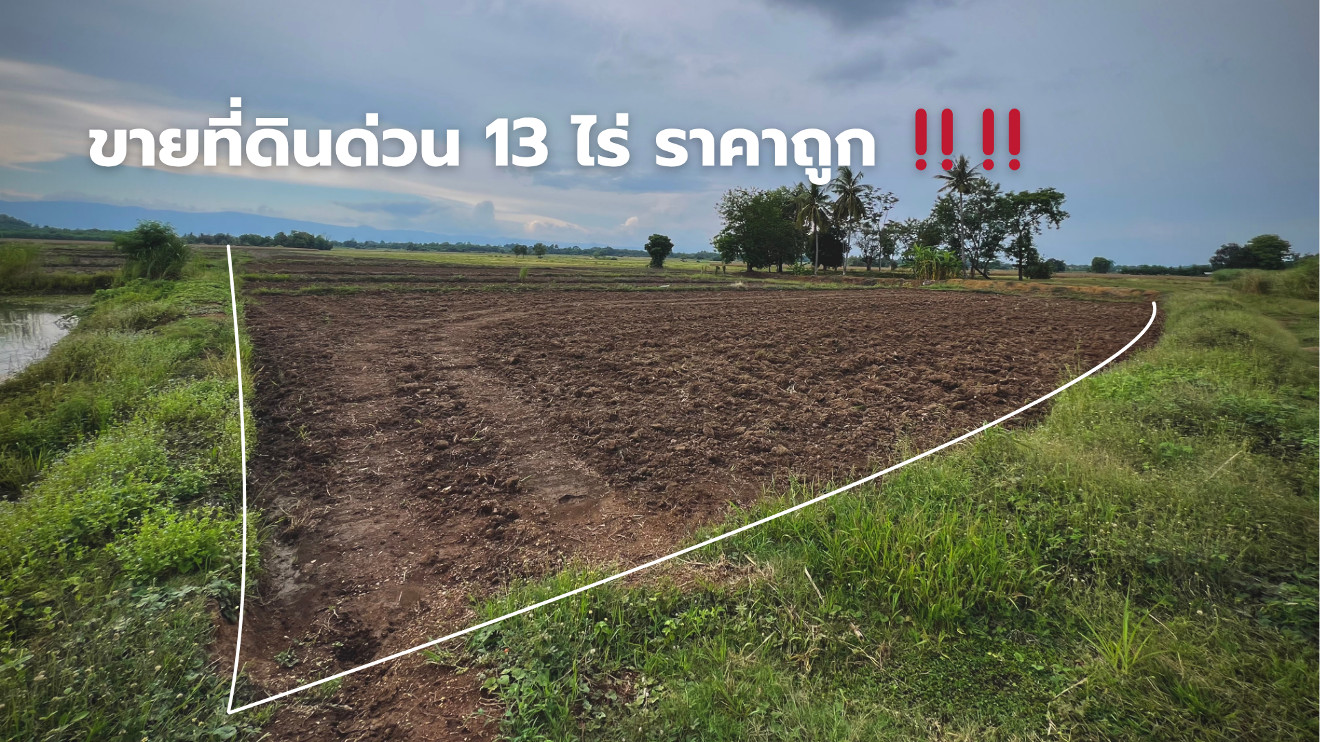 🌿 ขายด่วนที่ดินนาป่าทำเลทอง 13 ไร่ วิวสวย ราคาดี มีราคาพิเศษ 🌿