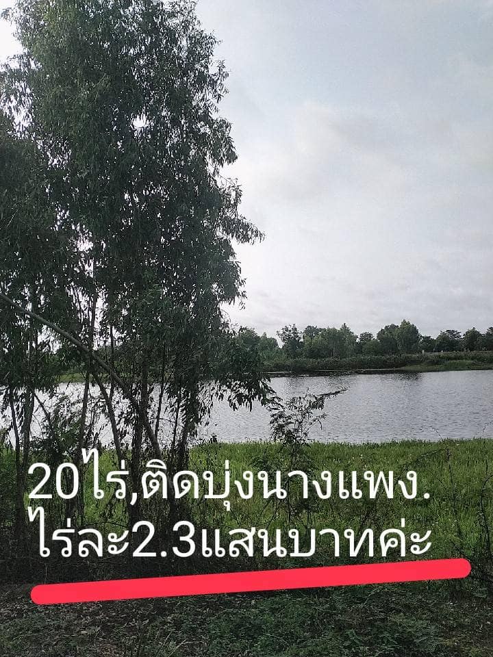 ที่ดินติดริมน้ำ20ไร่.บุ่งนางแพง.ติดน้ำ3ด้าน อุบลราชธานี 