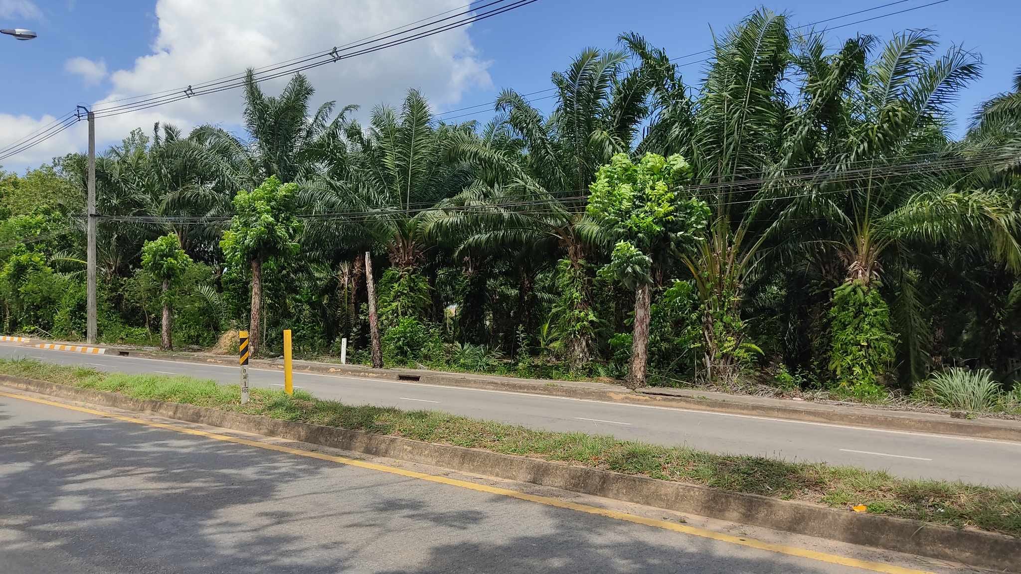 ที่ดินเมืองชุมพร ติดถนนเลียบทางรถไฟ