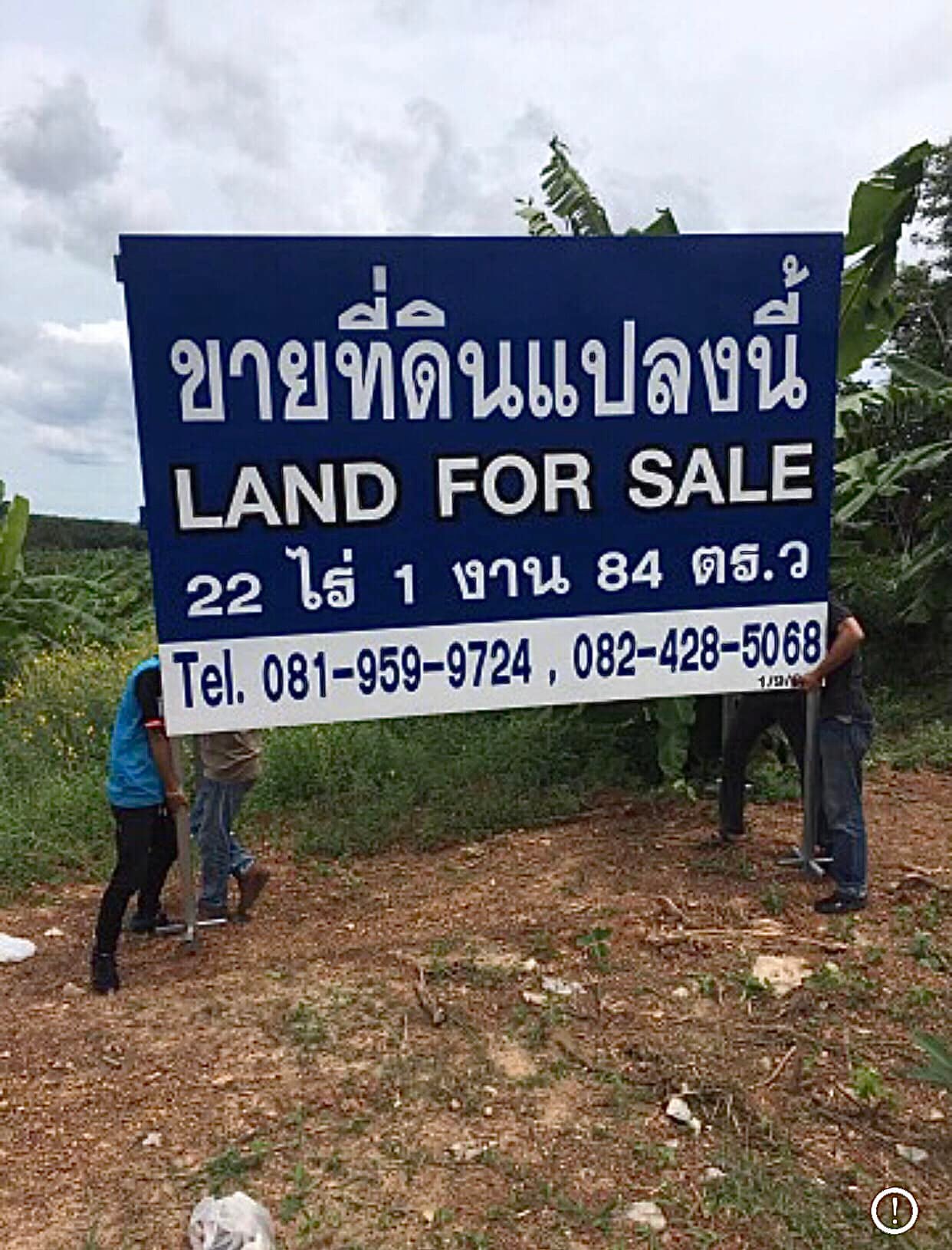 ที่ดินสวนปาล์ม ควนกาหลง สตูล 22-1-84.9