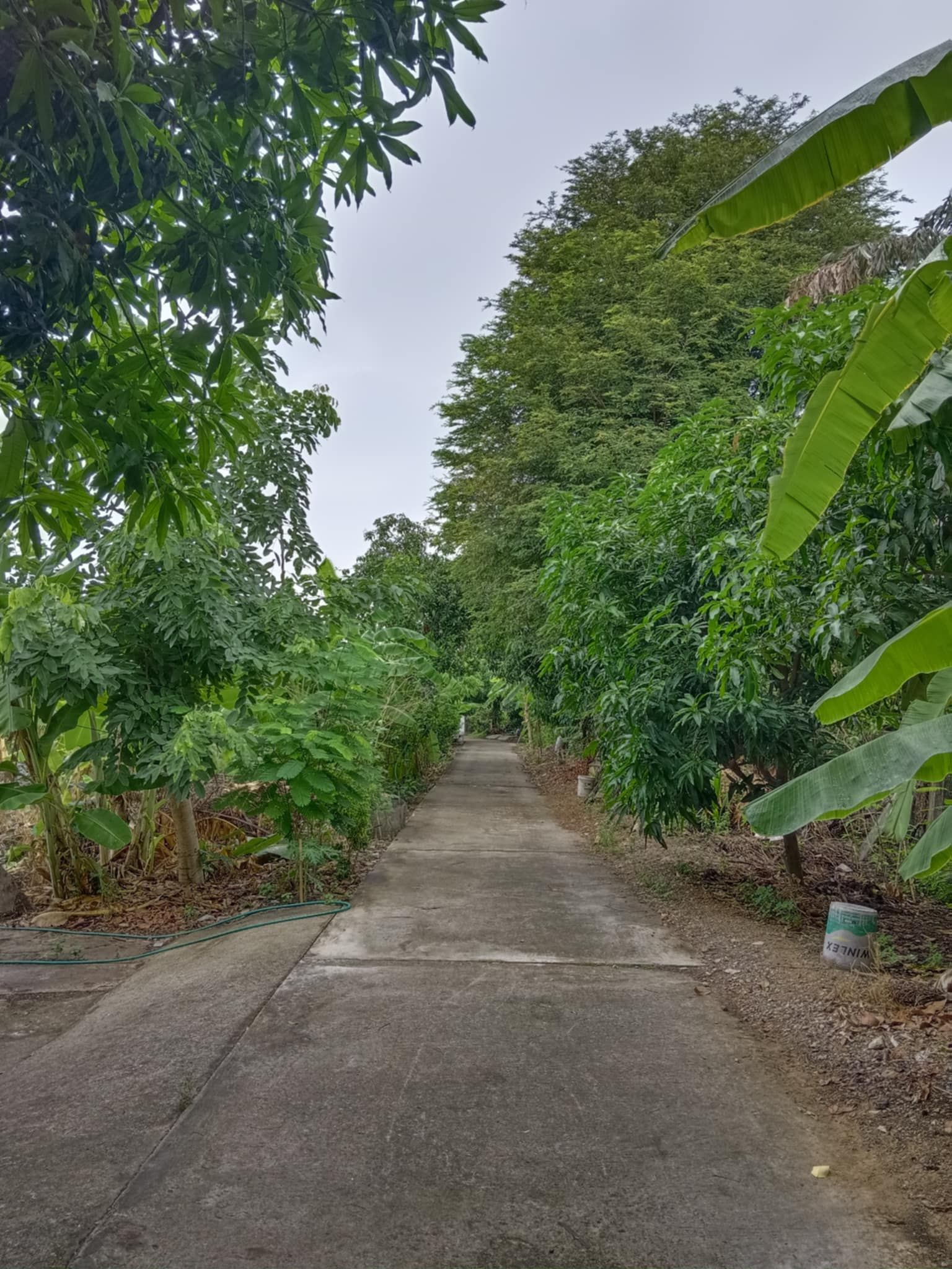 ขายที่ดินบางเขน บ้านสวนกรุงเทพฯ ที่ดิน 5 ไร่