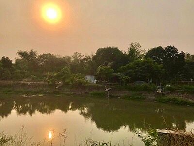 ขายที่ดินติดคลองชลประทาน หนองแค สระบุรี