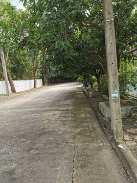 ที่ดิน ซอยราชพฤกษ์ 28 กทม 113 ตร.ว