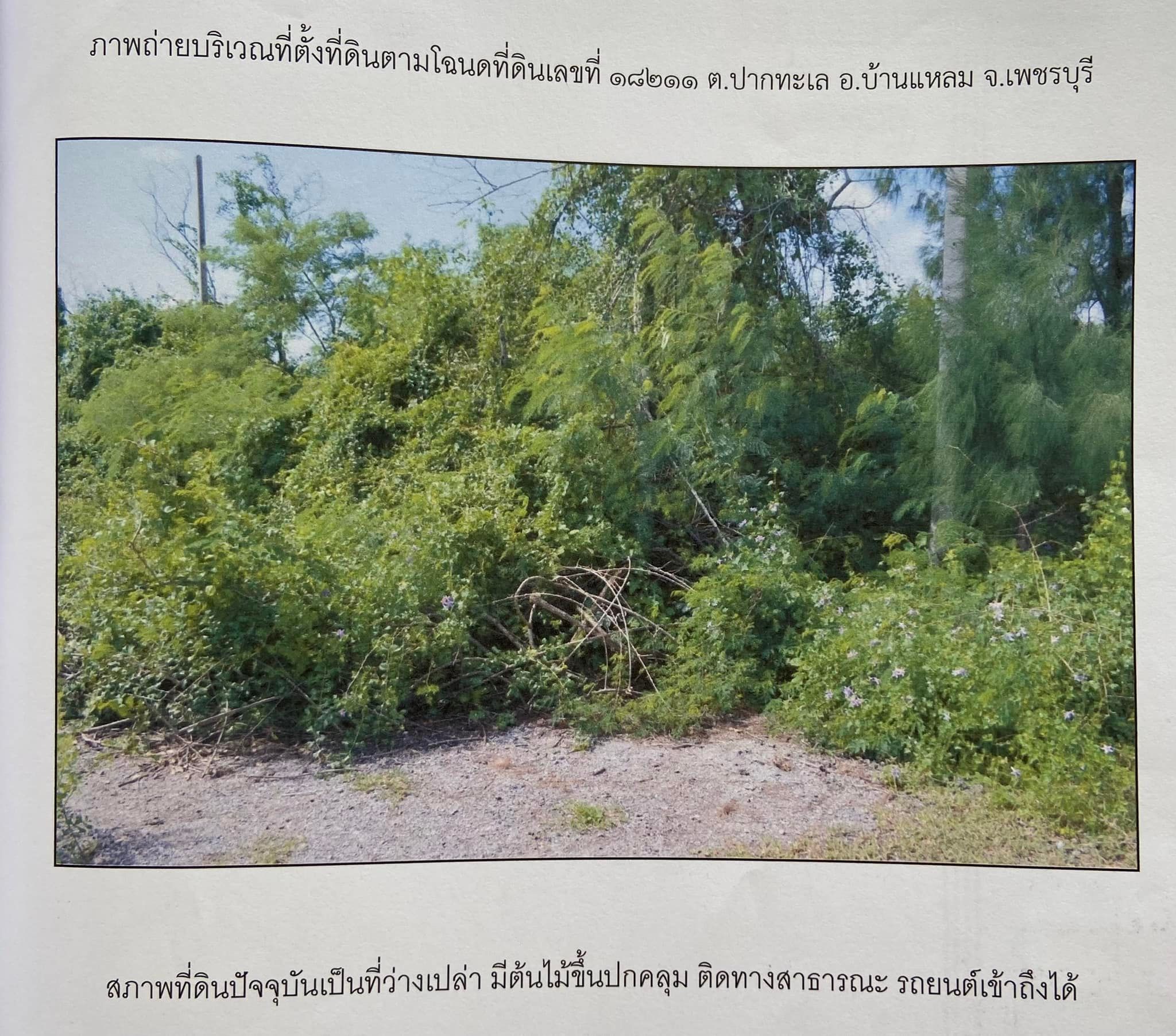 ที่ดินจัดสรร พื้นที่ 1 งาน ห่างทะเล 1 กม. เพชรบุรี