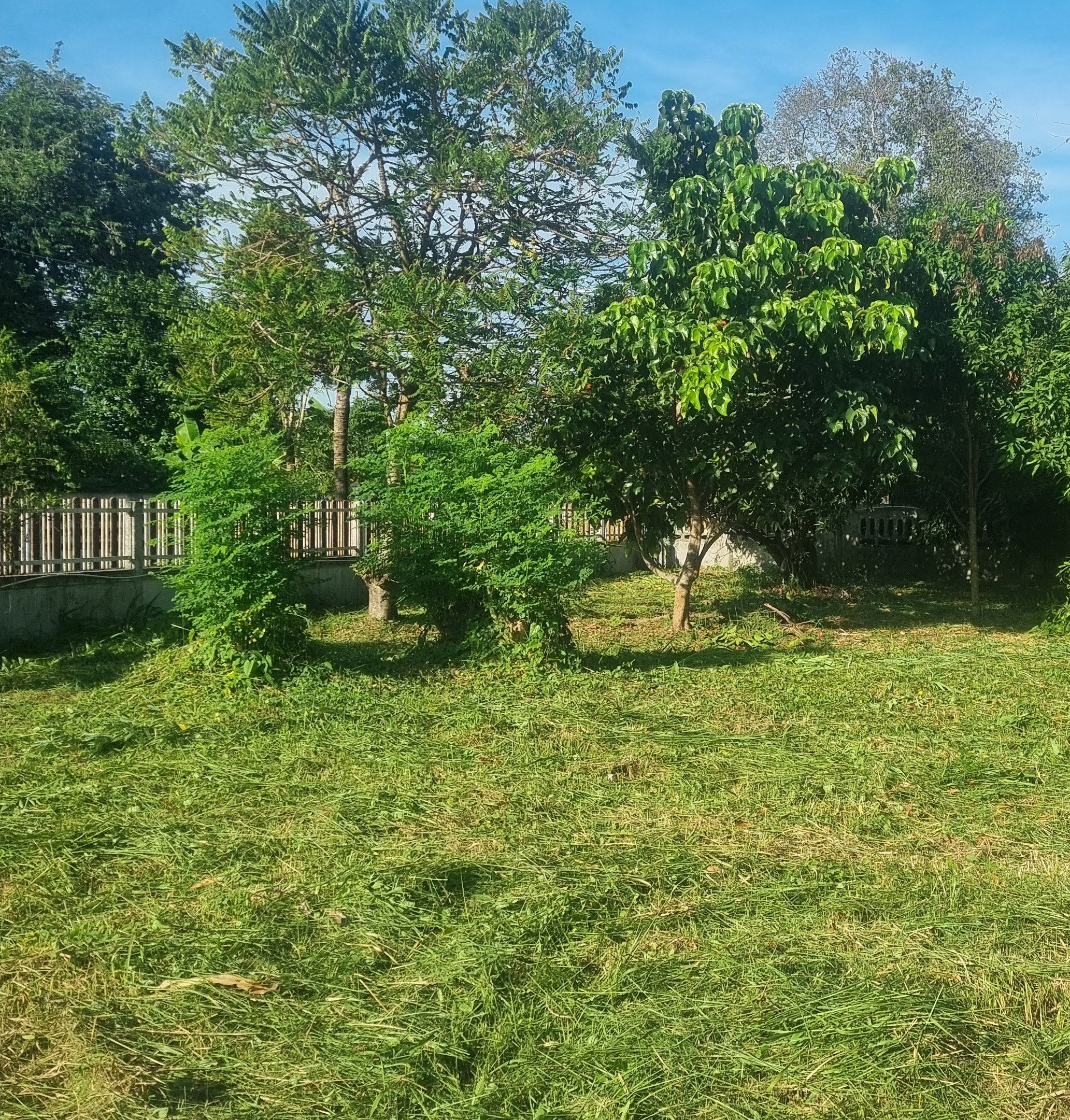 แบ่งขายที่ดินขอนแก่น อำเภอเมืองขอนแก่น ที่ดินปลูกสร้างบ้าน100 ตร.วา ใกล้เมืองขอนแก่น 
