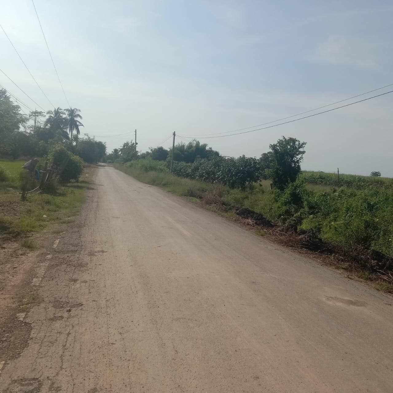 ที่ดิน ตำบล คลองมะพลับ อำเภอ ศรีนคร จังหวัด สุโขทัย  3 ไร่
