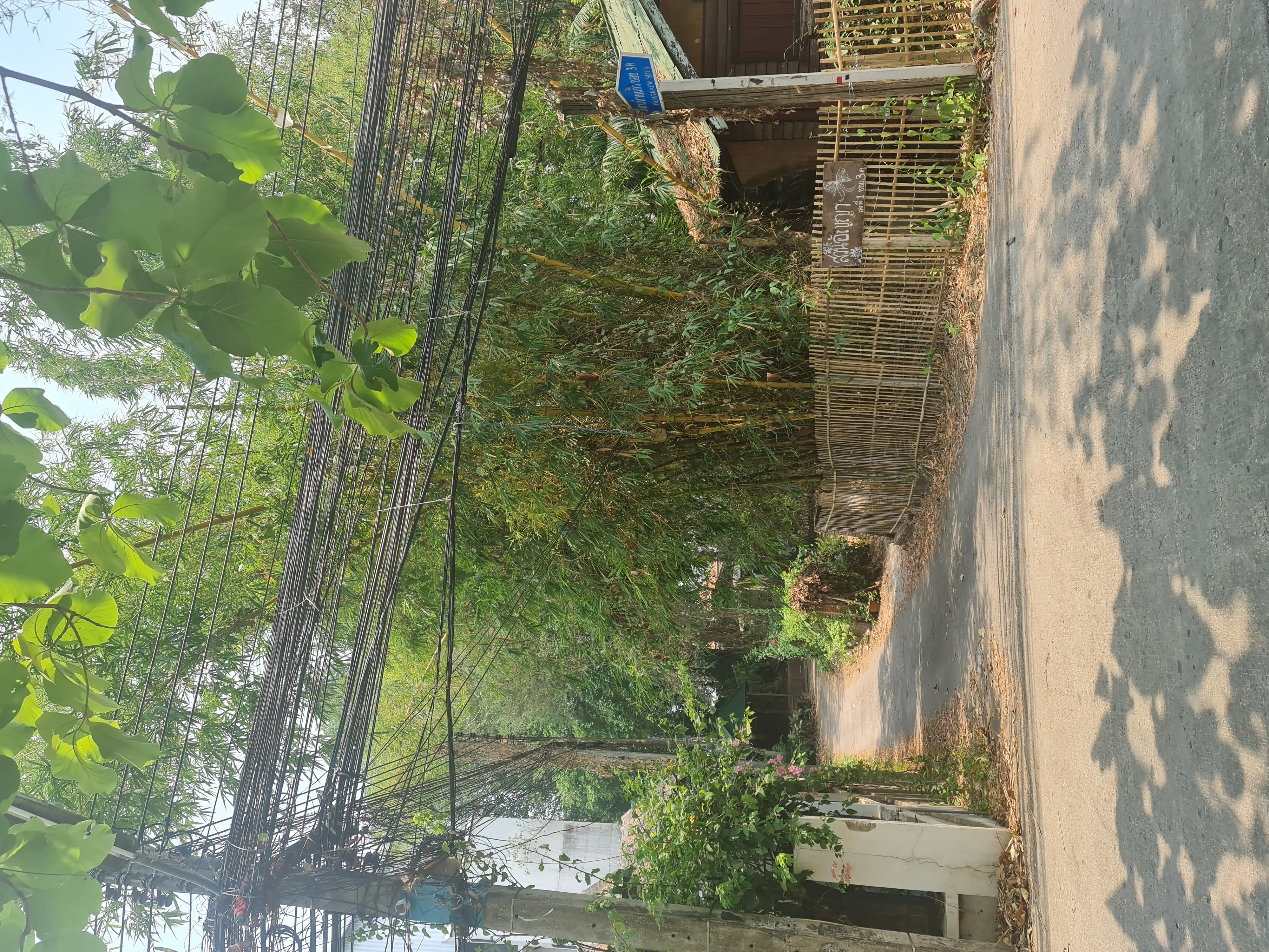 ขายที่ดินแปลงเล็กราคาถูกหลังโรงแรมเชียงใหม่ภูคำ ใกล้รั้วมช.แค่ 100 เมตร 