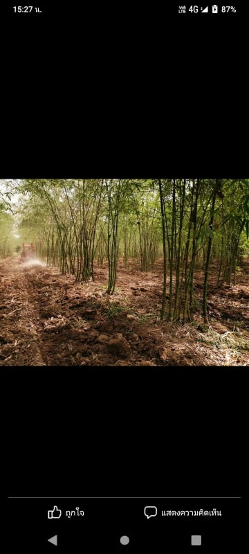 ที่ดินพร้อมสิ่งปลูกสร้าง บ้านแท่น ชัยภูมิ 17-1-84 ตร.ว.