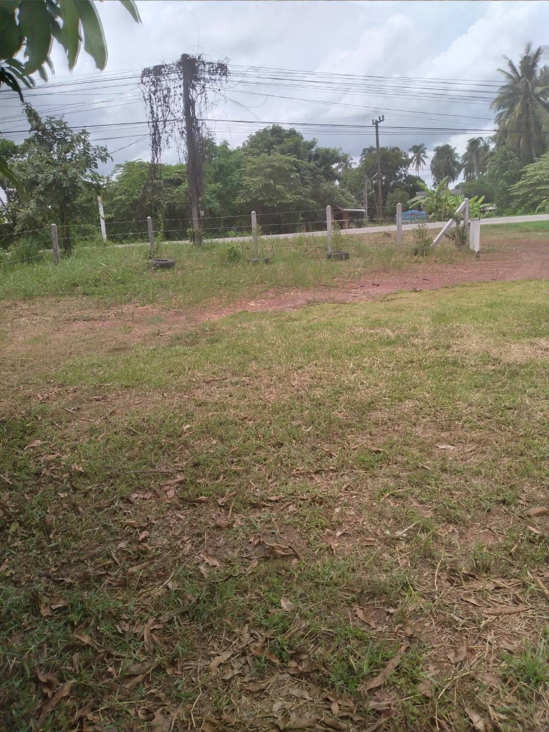 ขายที่ดินหนองคาย เมืองหนองคาย 2-0-72