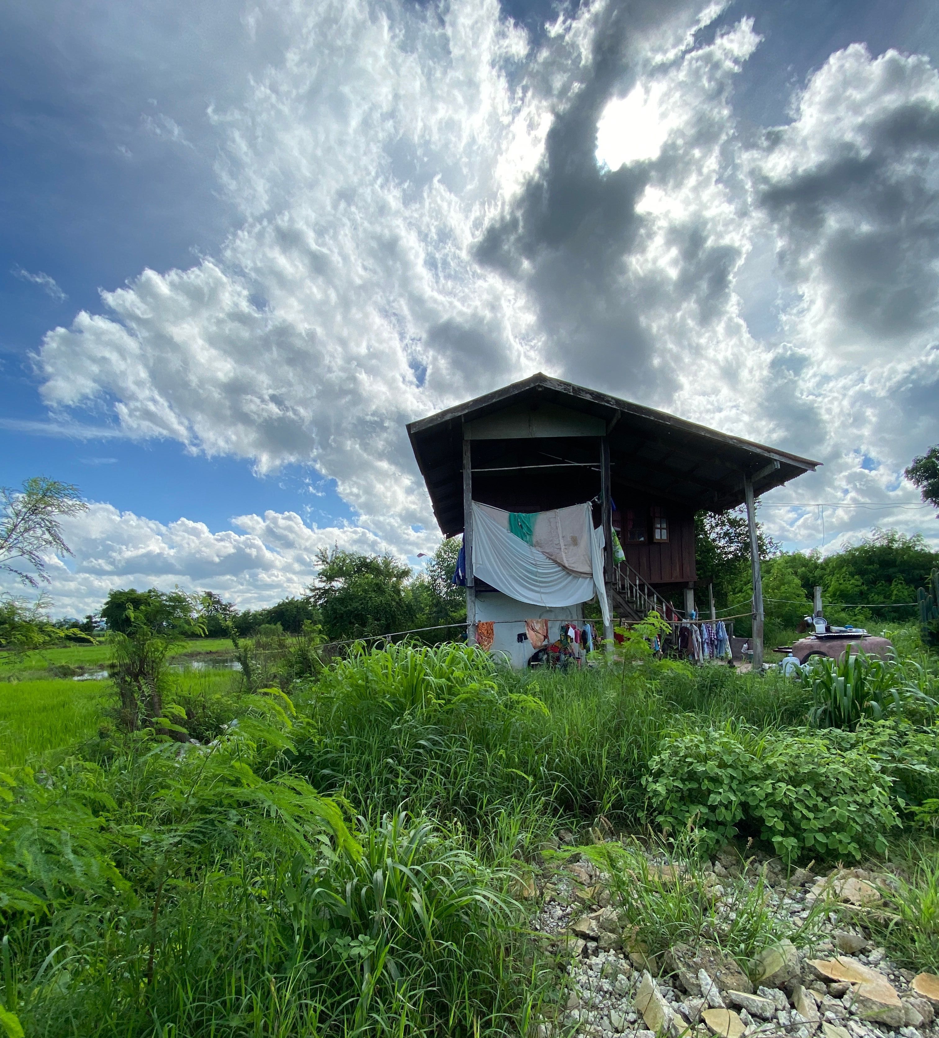 ขายที่ดินเพชรบูรณ์ บึงสามพัน บ้านพร้อมที่ดิน