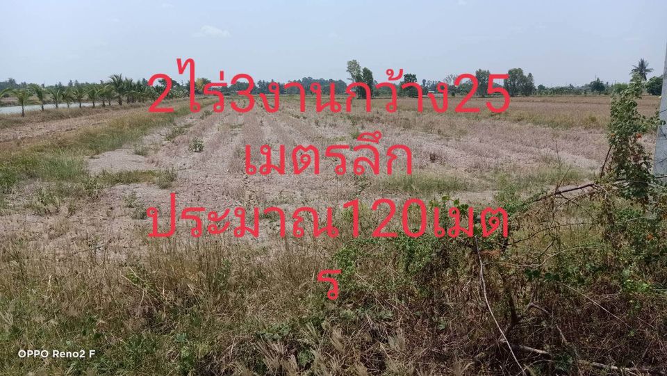 ขายที่ดินพิษณุโลก เมืองพิษณุโลก 2-3-0ตารางรางวา