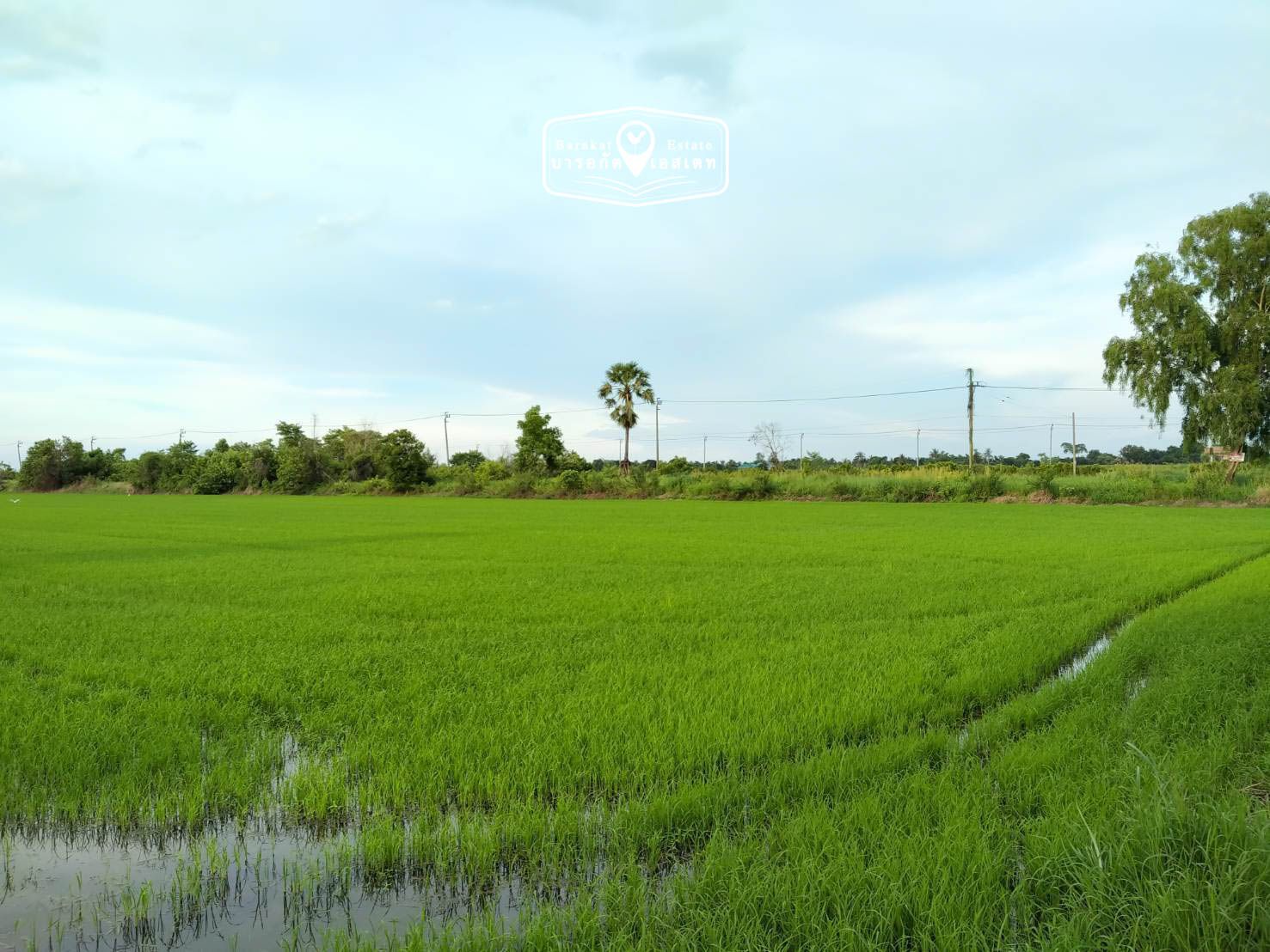 แปลงสวยติดถนนใหญ่ ราคาสุดพิเศษ เขตหนองจอก จังหวัดกรุงเทพฯ